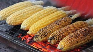 Jual Jagung Bakar Manis Di Medan Kota Medan Sumatera Utara